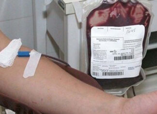 Dia 28 é dia de doar sangue em Piçarras