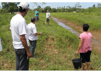 Epagri faz estudo em solo para averiguar denúncia