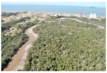 Novas denúncias cercam obras de dragagem
