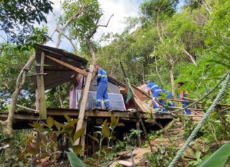 Força tarefa retira barracos construídos em meio à Trilha da Galhetinha