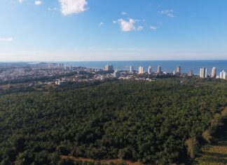 Plano de Manejo do Parque Rio Piçarras deve ser apresentado em 60 dias