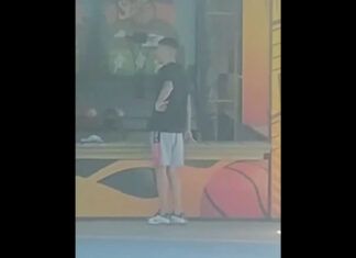 Foragido da justiça é preso enquanto visitava o parque Beto Carrero