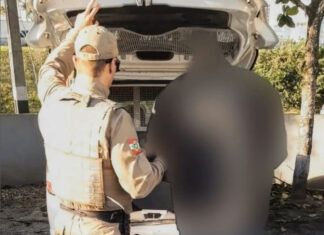 Homem é preso com mandado de prisão por violência doméstica