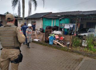 Ação conjunta apreende 50 quilos de fios de cobre no Itacolomi