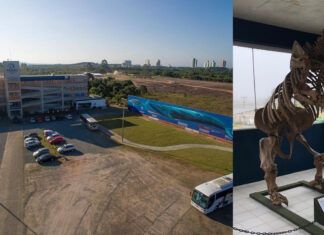Esqueleto de Preguiça-Gigante é atração no Museu Oceanográfico