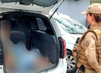 Preso em Penha membro de quadrilha especializada em furtos de carro de luxo