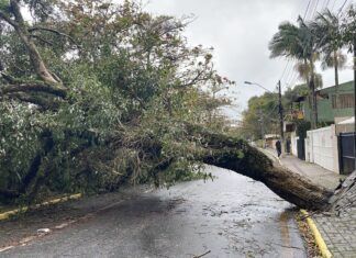 Balneário Piçarras e Penha criam abrigos emergenciais para vítimas do ciclone extratropical