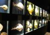 Museu Oceanográfico Univali troca doações da Campanha do Agasalho por ingressos