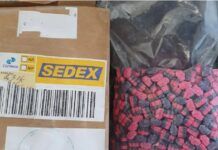 Ecstasy Postal: Polícia Federal cumpre mandados de prisão em Balneário Piçarras