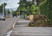 Aprovada criação do Conselho Municipal de Mobilidade Urbana de Balneário Piçarras