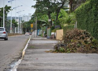 Organização do trânsito é primeira ação do novo Conselho Municipal de Mobilidade Urbana