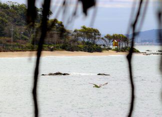Três praias de Penha terão certificação Bandeira Azul na temporada 2022/2023