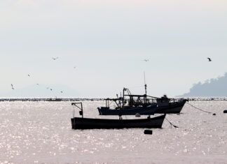 Penha anuncia mudanças em filosofia e cria a Festa Nacional do Mar (Fenamar)