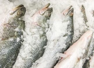 Empresa de pescados de Penha é multada por excesso de água em produtos