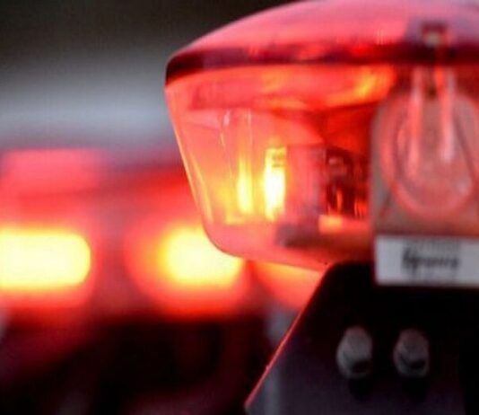 Ladrão arromba comércio e furta sorvetes e picolés em Navegantes