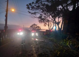 Motorista morre em grave acidente na SC-414, em Navegantes