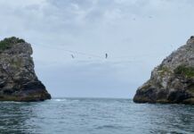 Desafio de travessia entre as Ilhas Itacolomi é neste domingo (11)
