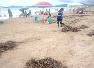 Balneário Piçarras, Penha e Barra Velha reforçam equipes de limpeza das praias