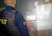 PRF apreende carga de camarão argentino avaliada em R$ 200 mil