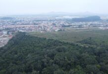 Barra Velha promove conexão com a natureza no Dia do Amigo com programação especial no Parque Caminho do Peabiru