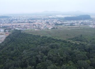ARTIGO | Barra Velha rumo à excelência (BARREX) – Caminho do Peabiru