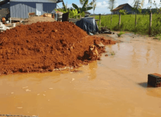 Chuvas também geram prejuízos ao projeto independente do Adote Penha