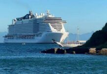Penha avança para receber escala teste de cruzeiro transatlântico