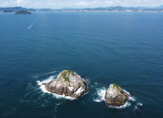 Balneário Piçarras tem potencial para entrar na rota de atracação de transatlânticos