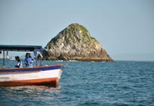 Aprovado projeto sobre instalação de recifes artificiais na costa de Santa Catarina