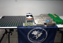 Casal é preso com 33 quilos de maconha e essência refinada de maconha na BR-101