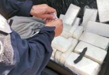 Mais R$ 6,8 milhões em cocaína são apreendidos pela PRF em Santa Catarina