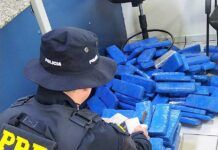 PRF localiza 119 quilos de maconha escondidos em porta-malas em Joinville, na BR-101