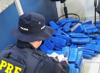 PRF localiza 119 quilos de maconha escondidos em porta-malas em Joinville, na BR-101
