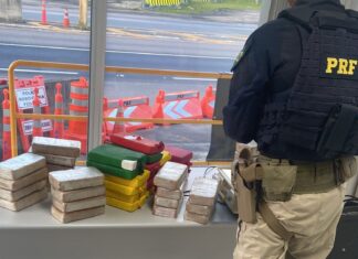 PRF apreende carga milionária de drogas na BR-101, em Barra Velha
