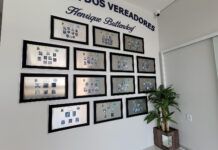 História política é valorizada com criação da Galeria Vereador Henrique Buttendorf