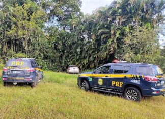 Pai e filho são presos pela PRF com 462 quilos de maconha em Joinville