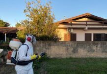 Penha contabiliza 57 casos de dengue este ano