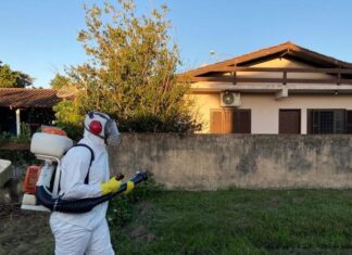 Penha contabiliza 57 casos de dengue este ano