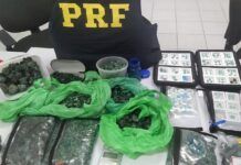 PRF encontra cerca de 10 quilos de pedras semelhantes a esmeraldas em veículo na BR-470