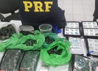 PRF encontra cerca de 10 quilos de pedras semelhantes a esmeraldas em veículo na BR-470