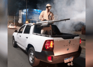 Balneário Piçarras decreta situação de emergência por conta da proliferação do Aedes aegypti