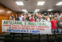 Limitação da pesca da tainha deve parar na Justiça: “novamente, estamos sendo perseguidos”