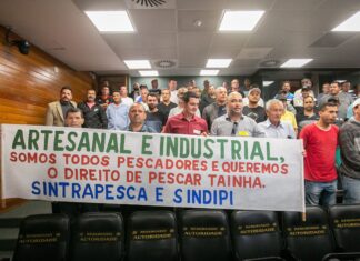 Limitação da pesca da tainha deve parar na Justiça: “novamente, estamos sendo perseguidos”