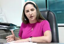 MDB de Balneário Piçarras reconduz Andressa Pera à presidência do partido