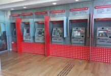 Chupa-cabra é encontrado em caixa eletrônico de banco, em Navegantes