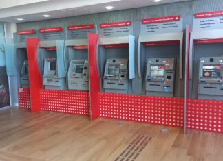 Chupa-cabra é encontrado em caixa eletrônico de banco, em Navegantes