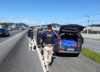 382 quilos de maconha são localizados em veículo clonado na BR-101, em Navegantes