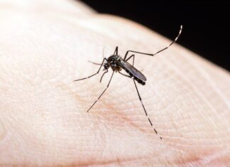 Barra Velha confirma a segunda morte por dengue
