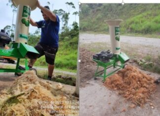 2,5 toneladas de coco são trituradas no Centro de Compostagem de Balneário Piçarras