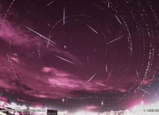 Mais de 200 estrelas cadentes cortam o céu do Planalto Norte catarinense